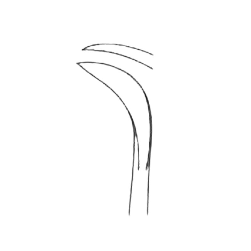 AX-DS02-0251-00