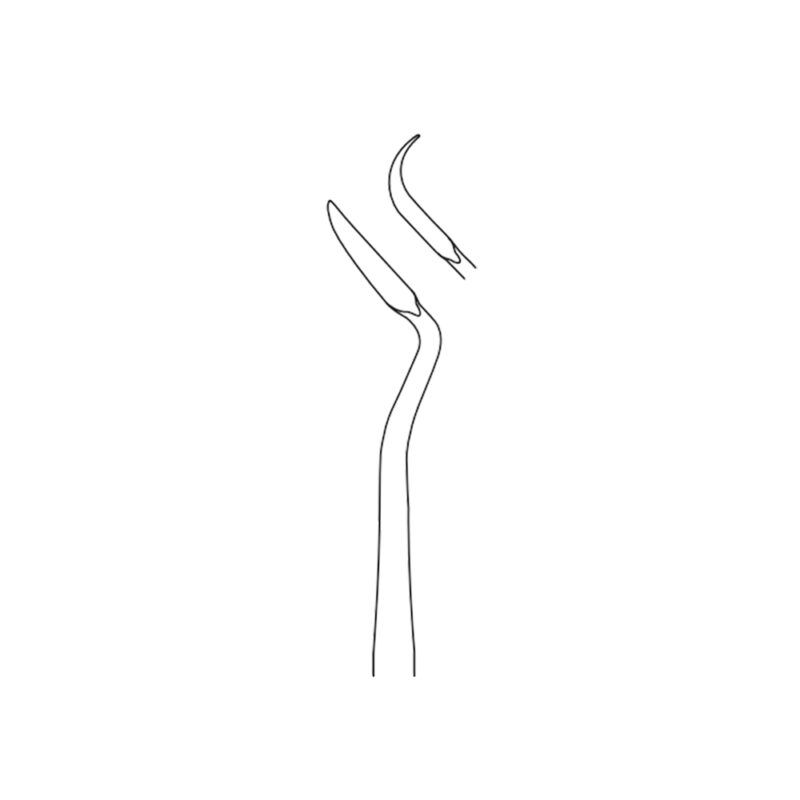 AX-DS07-0113-17